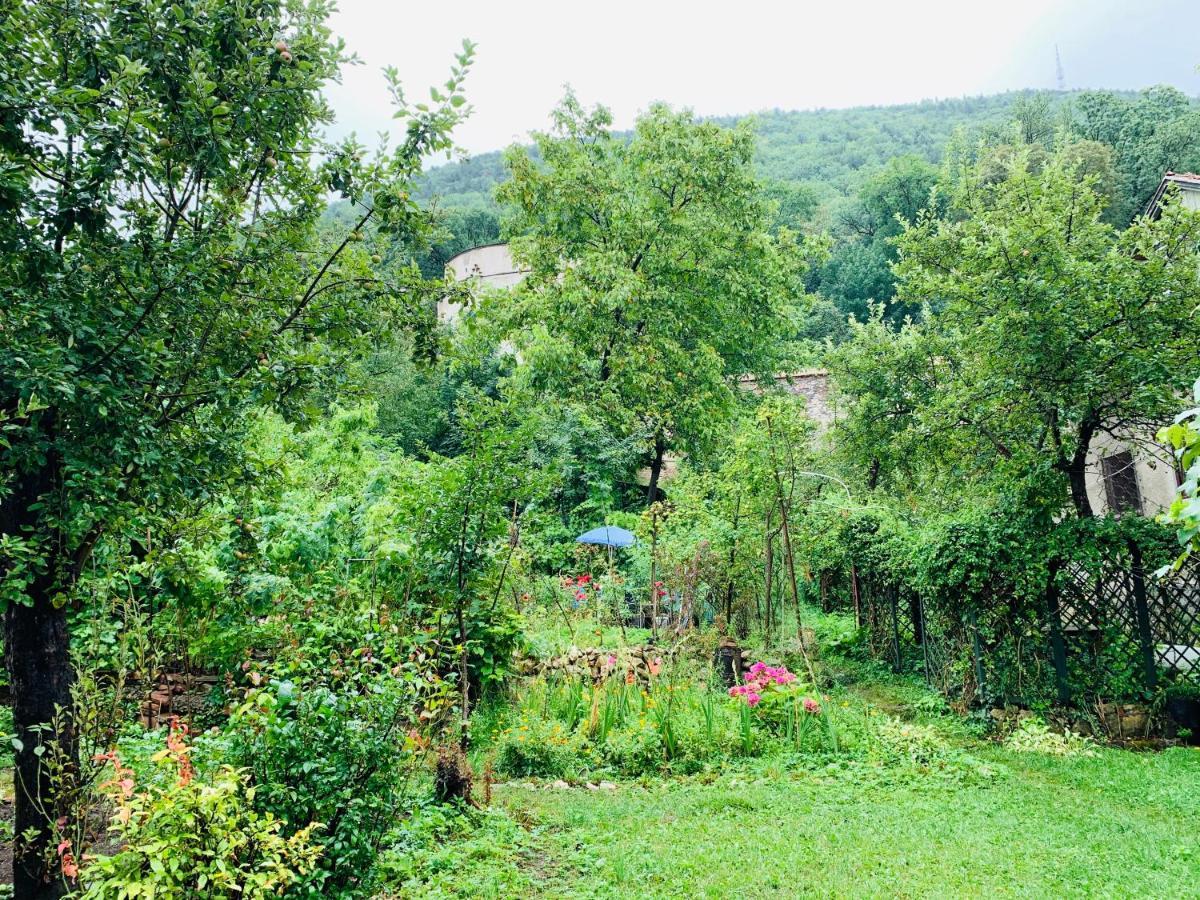 Maan Central Apartment pet friendly location Brasov Bagian luar foto
